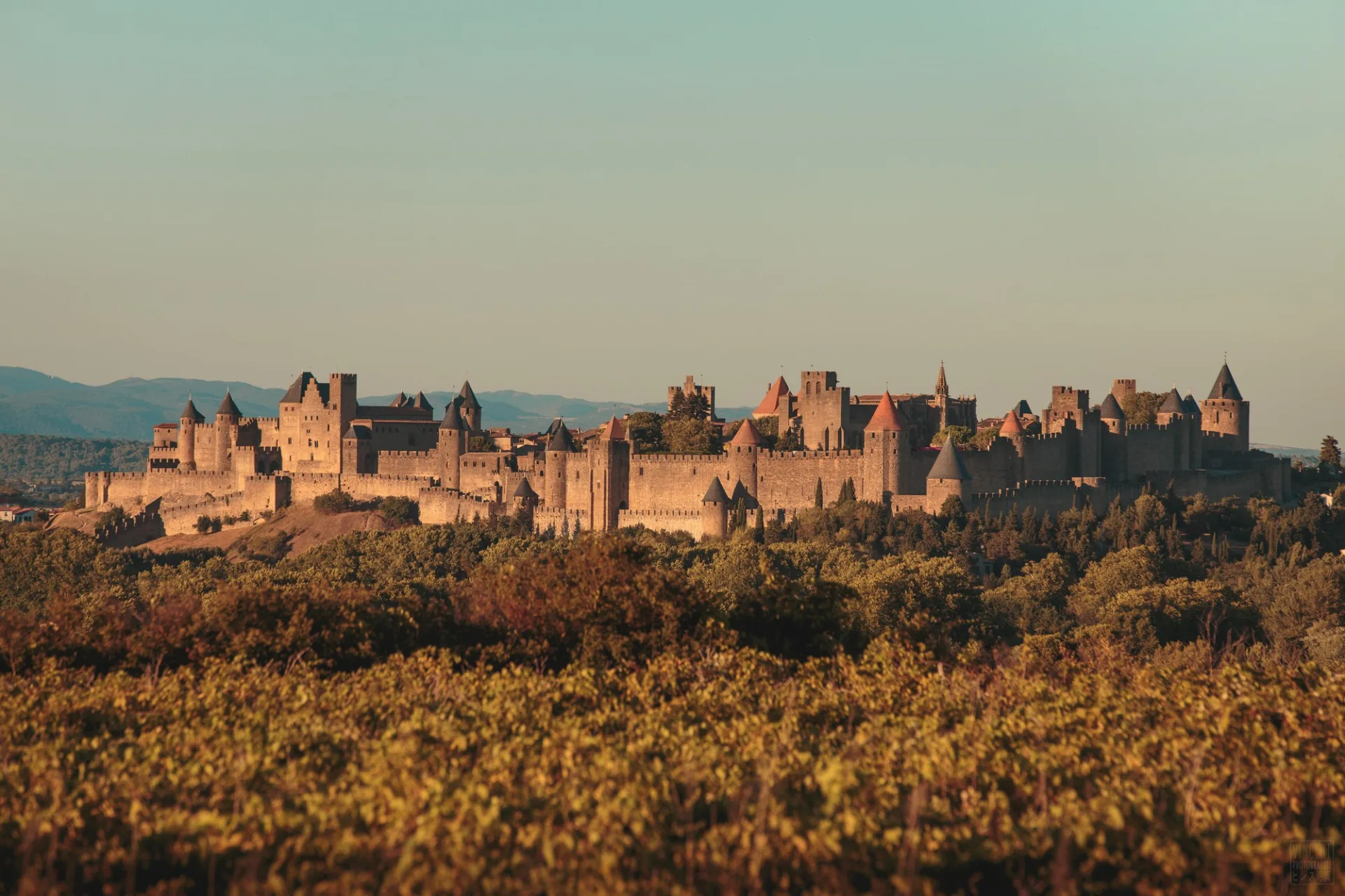 La cité de Carcassonne vue de loin, automne