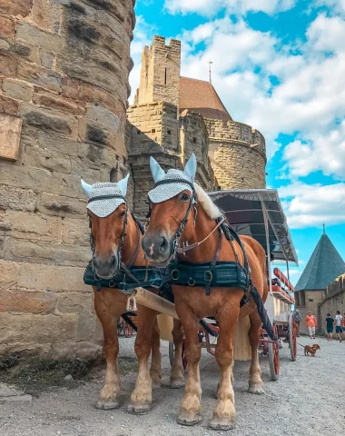 Que faire dans la Cité de Carcassonne ?