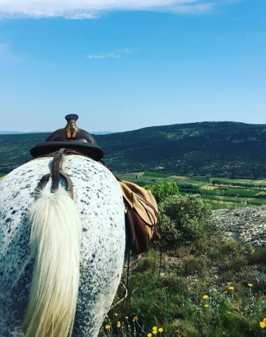 Balades équestres