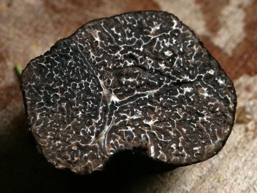 La truffe noire
