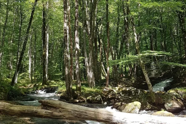 Quelques idées pour se mettre au frais en été
