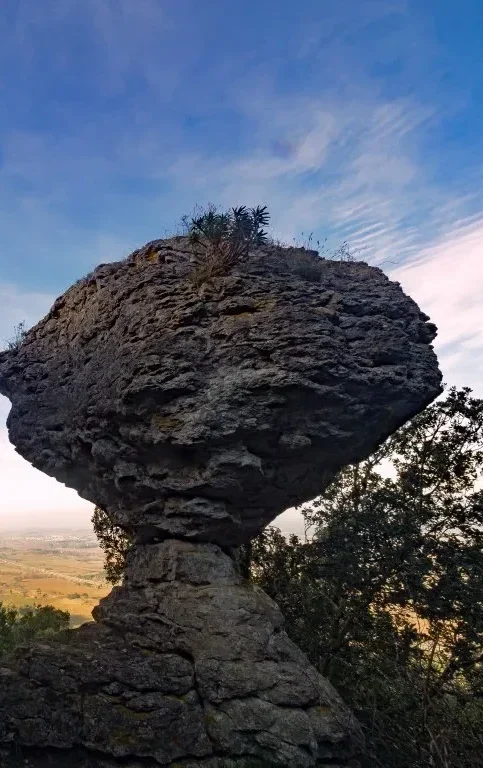 Une destination nature
