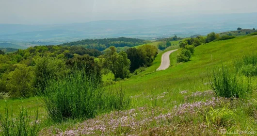 Une destination nature