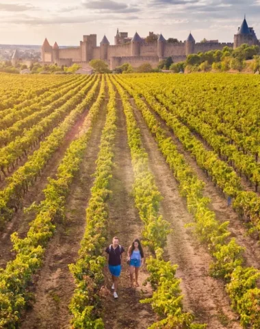 Le vignoble & les vins du Grand Carcassonne