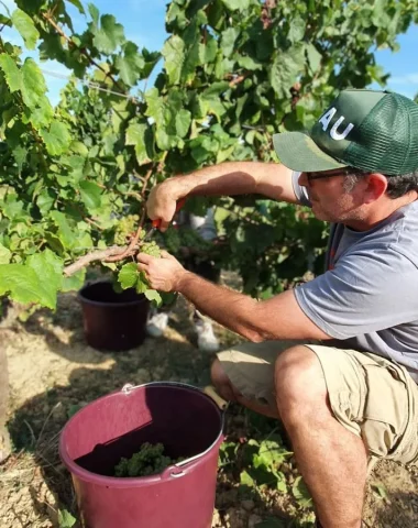 Route des vins en Cabardès