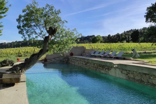 Une destination oenotouristique