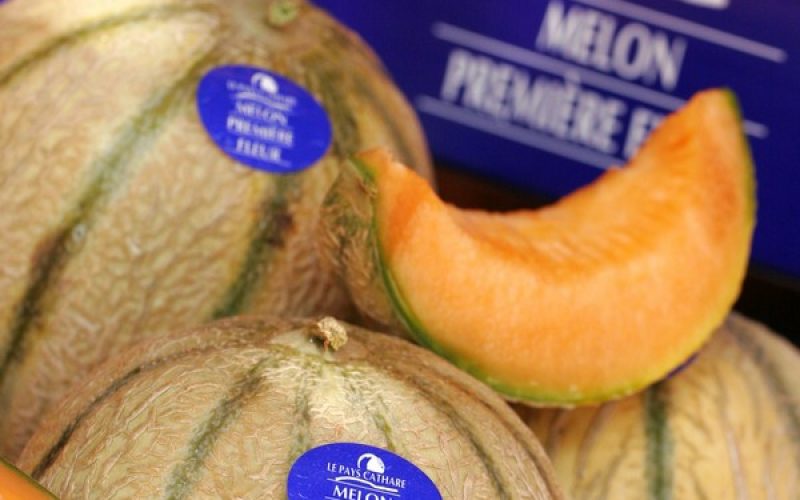 La fête du Melon