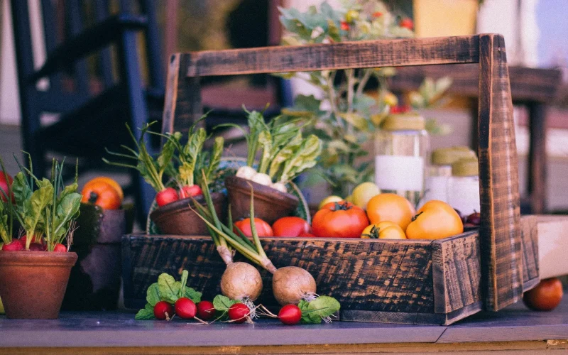 panier-legumes-producteurs-autour-carcassonne