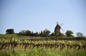 Villeneuve-Minervois