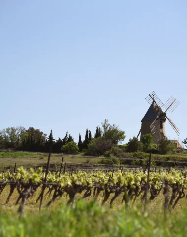 Villeneuve-Minervois