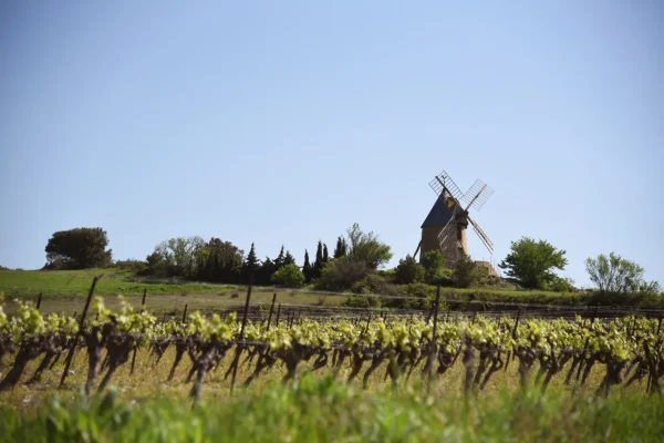 Villeneuve-Minervois