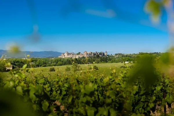 Pourquoi vous devez venir à Carcassonne