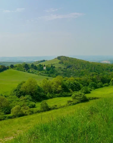 Autour de Carcassonne, entre Razès et Malepère