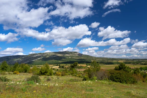 Pourquoi vous devez venir à Carcassonne