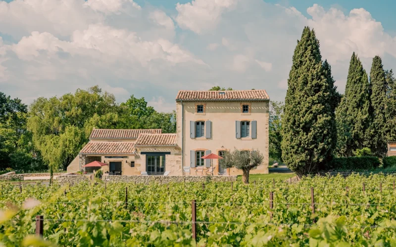 Dormir dans un vignoble