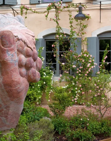 Locations à Caunes-Minervois