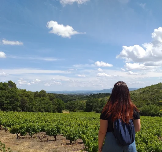 Carcassonne Agglo